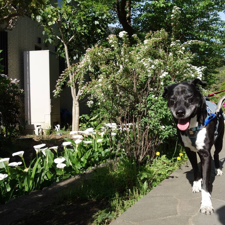 A8651501 bf5a 43bf 9ded 6f2b5290514e 1745195226996