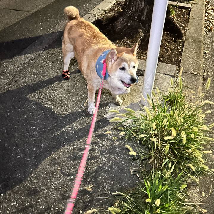 A8651f3a 96e8 4f9a ae51 b03cef7739ed 1754563495059