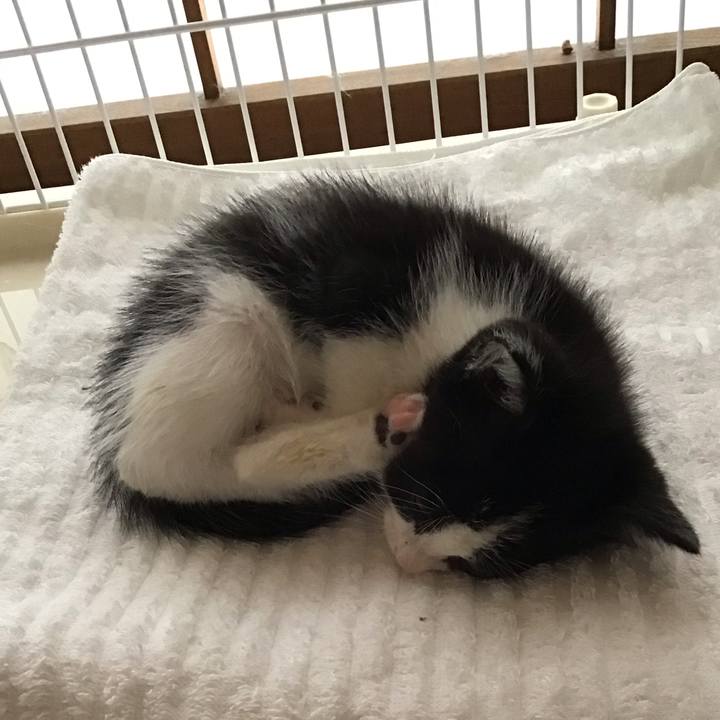 A865237b 201d 49e9 bef9 19680a08ce6e 1622599186534