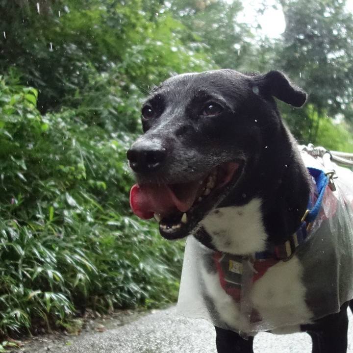 A8652e51 cb75 40cf af60 841d00533709 1661988552864