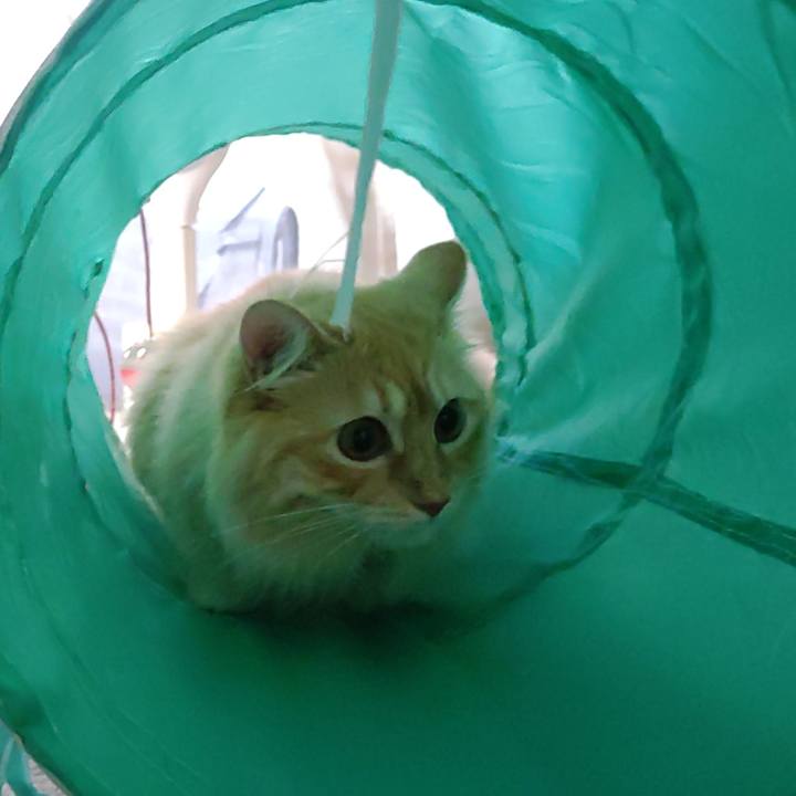 A865467f 76d7 4e84 b01c 03054b2c8373 1657532303286