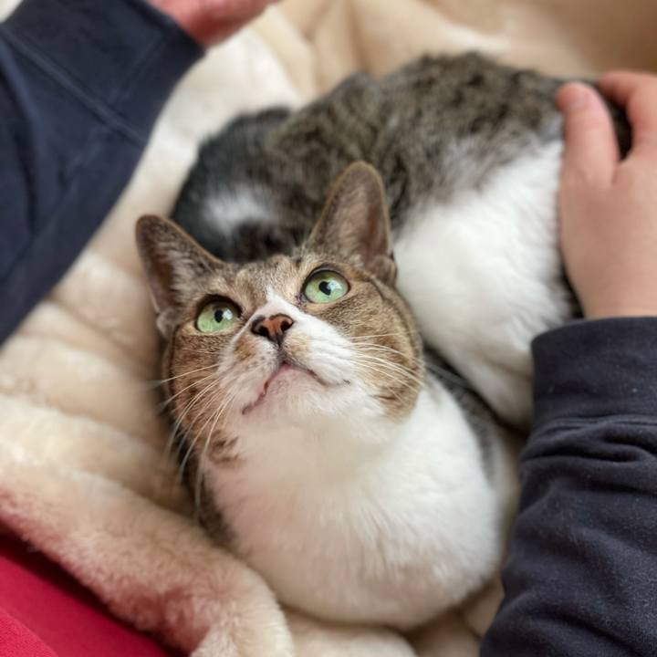 A8656e5d 2281 4282 9613 d1ae70e3f9c0 1614389149954