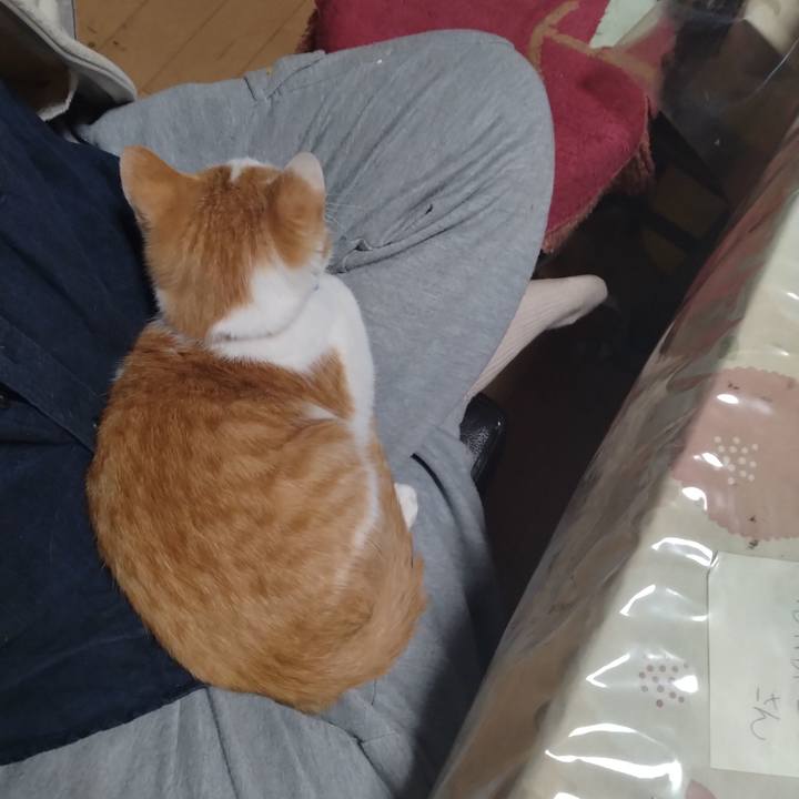 A8658b08 4494 49d4 a962 d1e09804c036 1732176830876