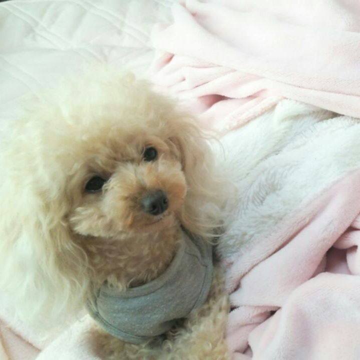 A8658fbe af32 44bd 8edf d881e88233e5 1538139483487