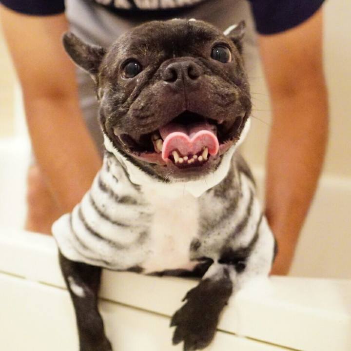 A865c556 67dd 4abd 827e 60ac1e266ea8 1531743463307