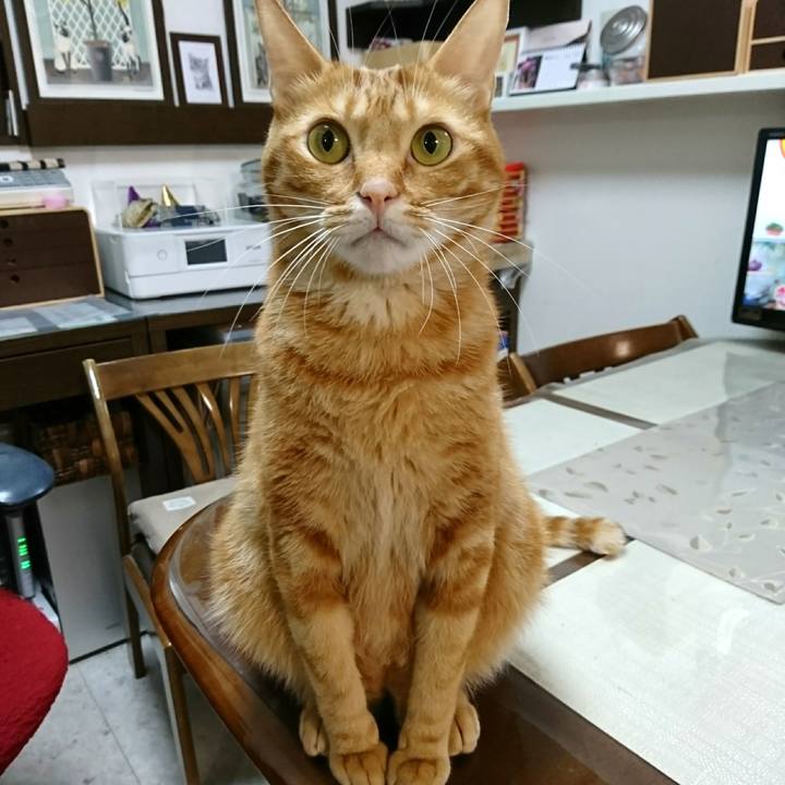 A865d5c2 907b 44c7 b8e7 6571ce754ba5 1540421506525