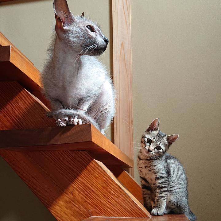 A865d98b 0e18 4810 b1af edc384d4bd8c 1560835965952