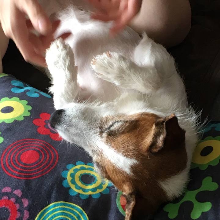 A86621df af60 4337 99ef 474ba22fc55a 1567481667590