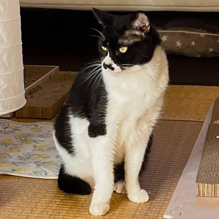 A86627c8 9619 4d62 ba75 74f0a0100d83 1696672104713