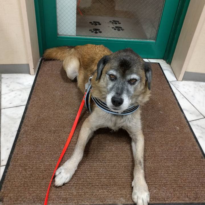 A86630c5 c8c2 4e74 b4ef 5c5e9ab5cc28 1536403321142