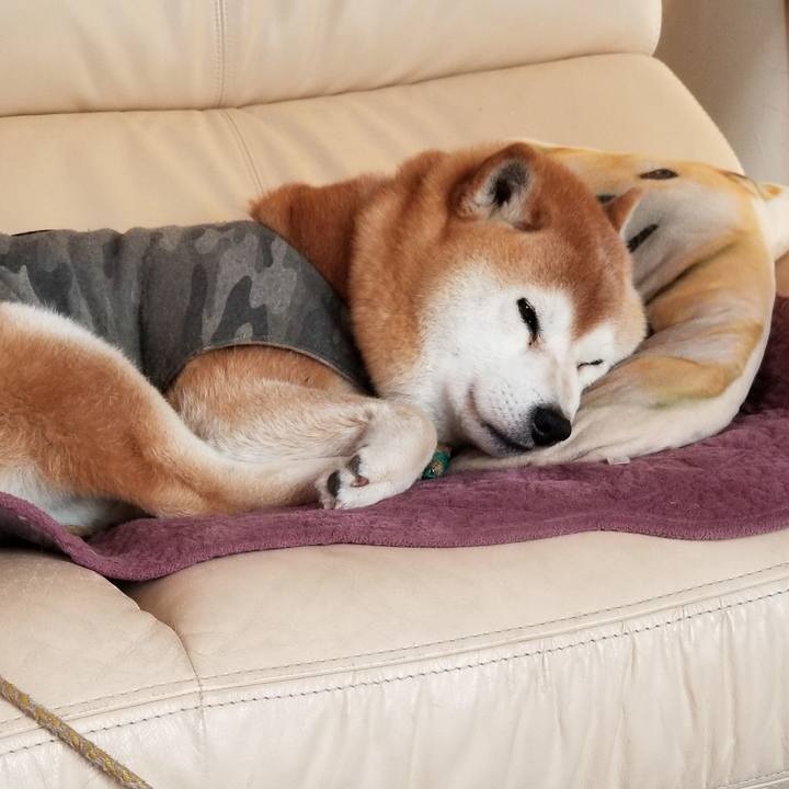 A866381d 9428 4d93 8627 833e0911bd6c 1650149822561