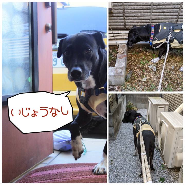 A8665470 50f2 4b47 ba23 7b09bbc85b84 1642640954351