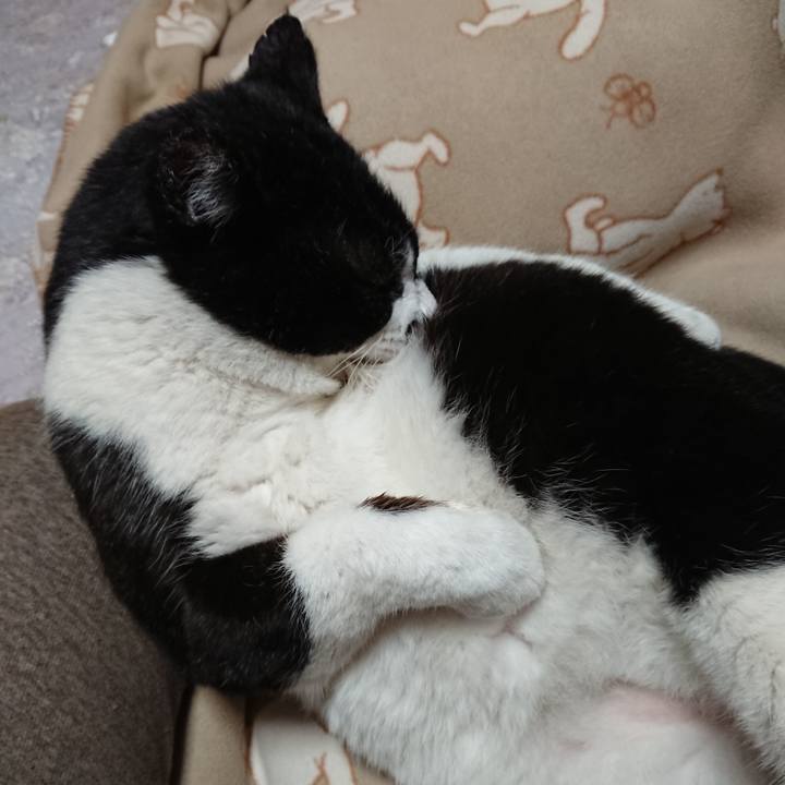 A8665b5f a22e 4ddf 8225 c21e6856a0b3 1607258919737