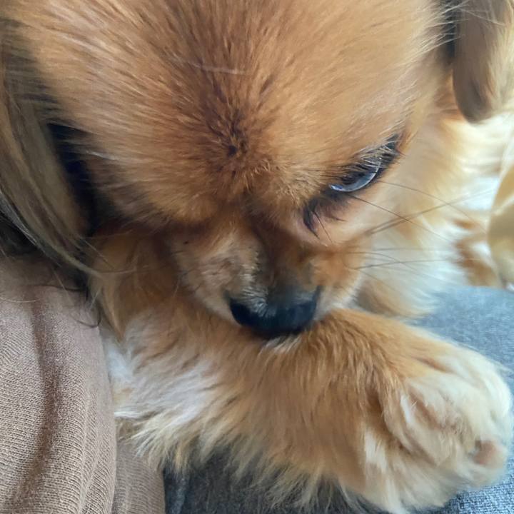 A8666fd5 601e 4f41 8386 497d0ca7f983 1619826179613