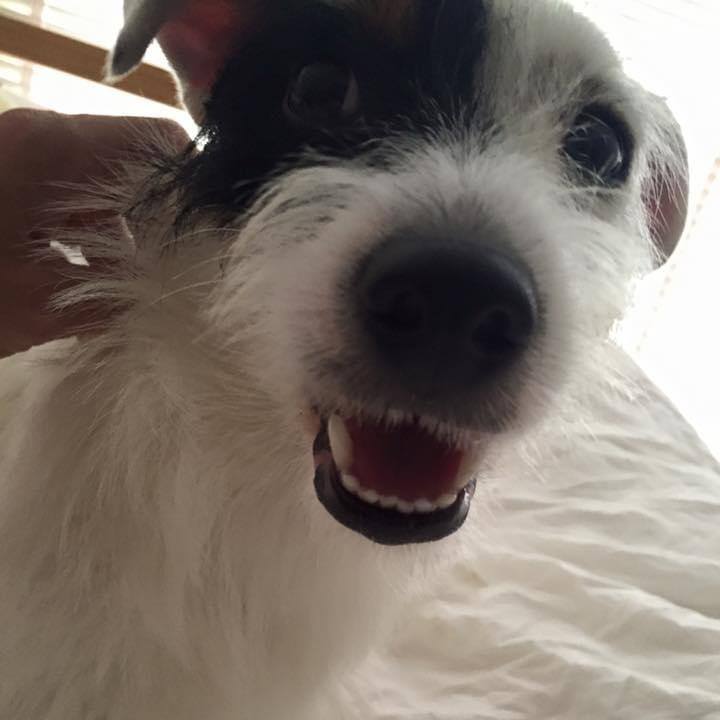 A86691f2 497c 42b3 ba11 0d7b1fb19e49 1694133364204