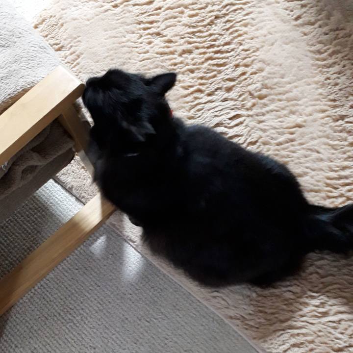 A86694e2 4c84 49e9 9d4f ad3fa2476668 1520624431009