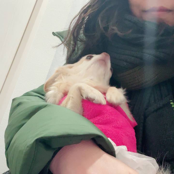 A866c508 ad4c 4ed8 8c90 665523a96962 1740048909773