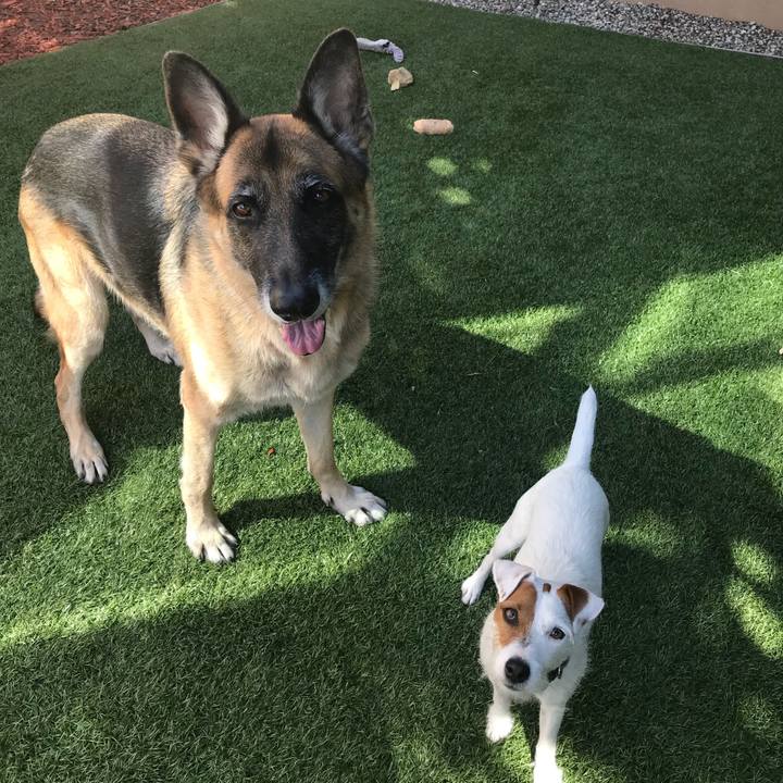 A866dfd0 6bab 4d35 a294 1fbf4e2ef5e3 1509728479085