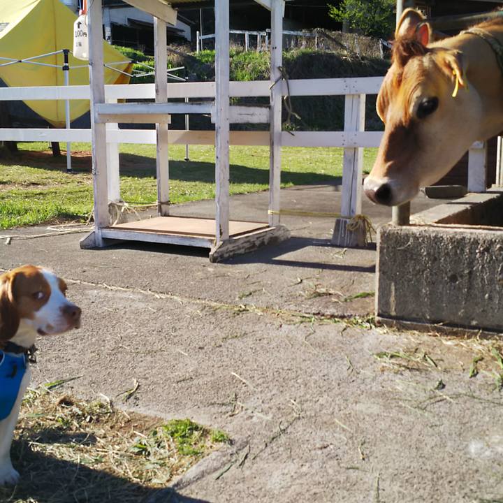 A866eaa1 a4f1 4e5f b902 47b2b4283050 1556794351350