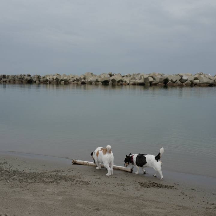 A866f5ab e3c7 422c b246 e3938e4f6738 1561609967431