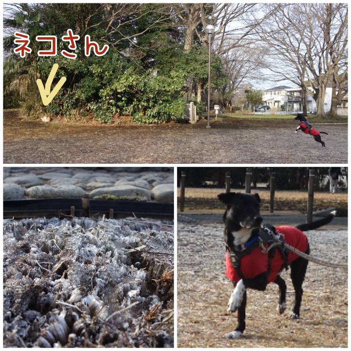 A866f9de 0aae 451a b864 fef1a2e1c57a 1644631960035