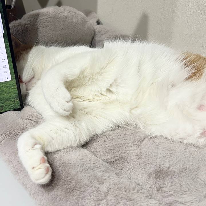 A8673a35 4786 4af2 af6f c35ee6dbd5d5 1764740395897