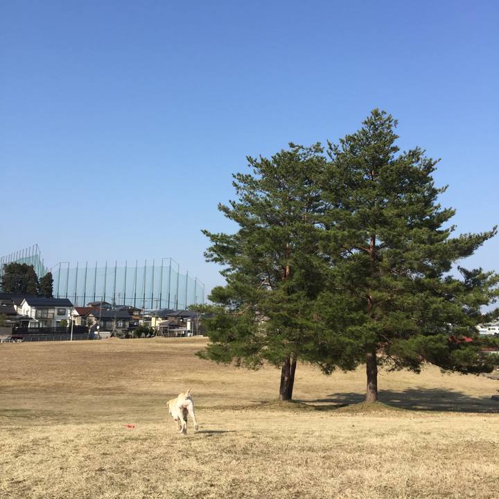 A8676224 de90 46b8 a22d 4f8a40a1d28d 1522132983421