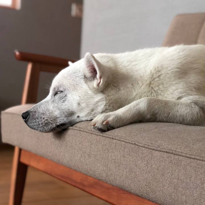 A8677cde d436 41c6 853c 1a5241a4f758 1528971493499