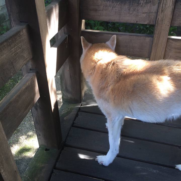 A8678395 d0f3 4632 b7e9 0240b6a4fe20 1590051620518