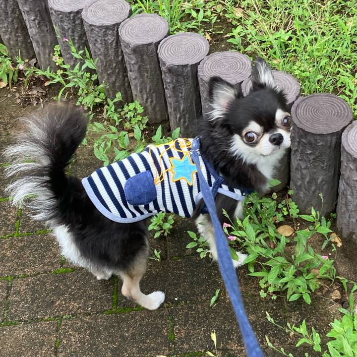 A867c7b5 cdc7 4688 8e21 c75d7e01cb85 1686842601056