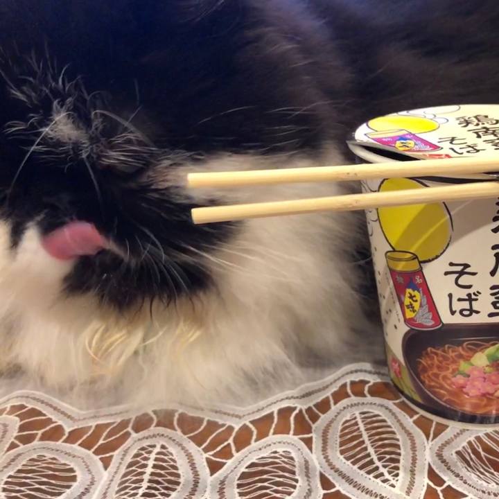 A867d4a4 bbc9 433e a686 370cdfc1bec5 1544892741775