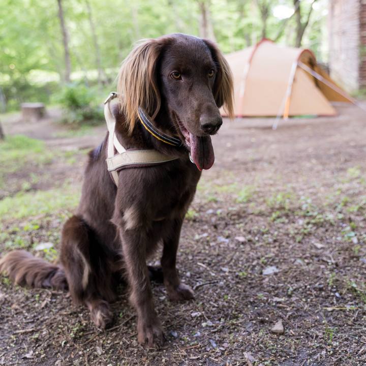 A867d525 5029 415b 900b 8a3dfbad3a13 1622610158634