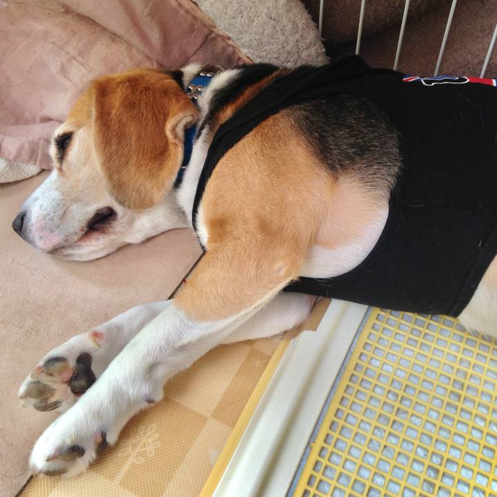 A867d9a1 5563 453e 892d 1dfa973446e8 1750599875326