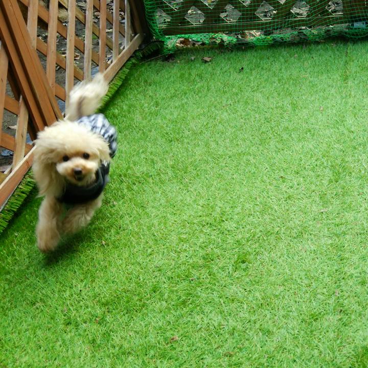 A867f64d e4c0 43bd 8c14 fbdb321a53bf 1542097454318