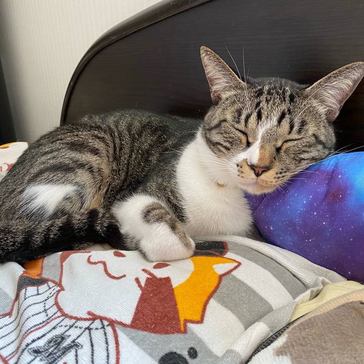 A86818eb 291c 41af b83d 21a66f2bf2b3 1743910432942