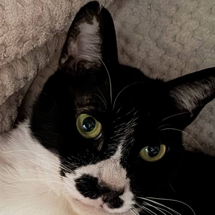 A8682126 184d 46cb a680 8946777c4db3 1746850683276