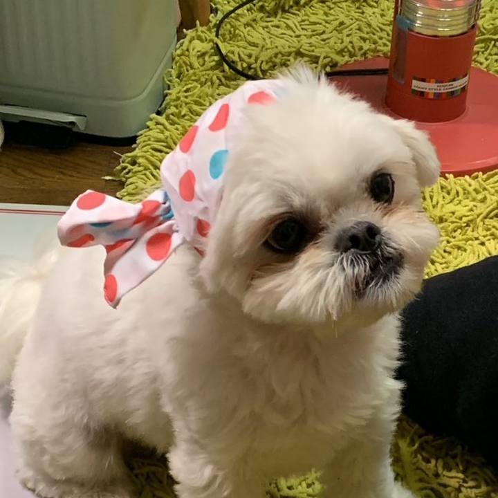 A868513c 0968 44ef a826 29d7eb822b40 1677413695129