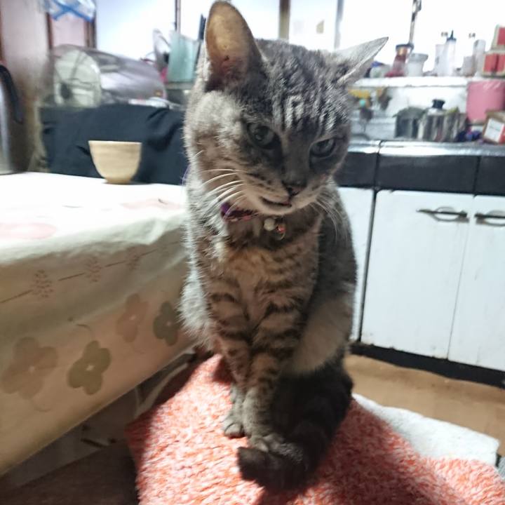 A868861c 18b5 4d2d be01 eee1cc4d9788 1583616265751