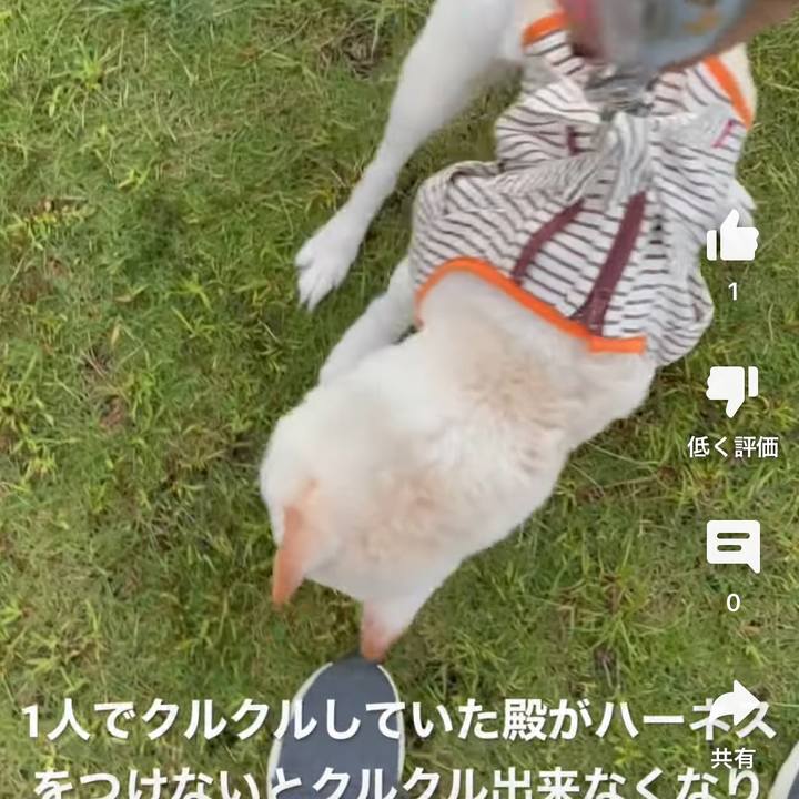 A8688b2b 6b8d 4b21 bc21 e9a778e17621 1683216497289