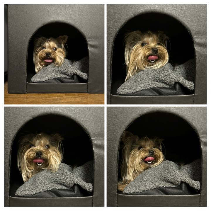 A868ab32 9c0d 4b0b 9614 cbb5388ff4d6 1691901852072