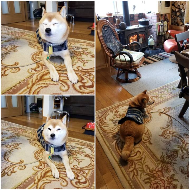 A868d14c a2e4 4457 b609 1522efffc4e5 1580517583244