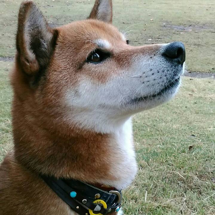 A86916b8 8dda 4b2d a299 9b419f99a953 1573435308153