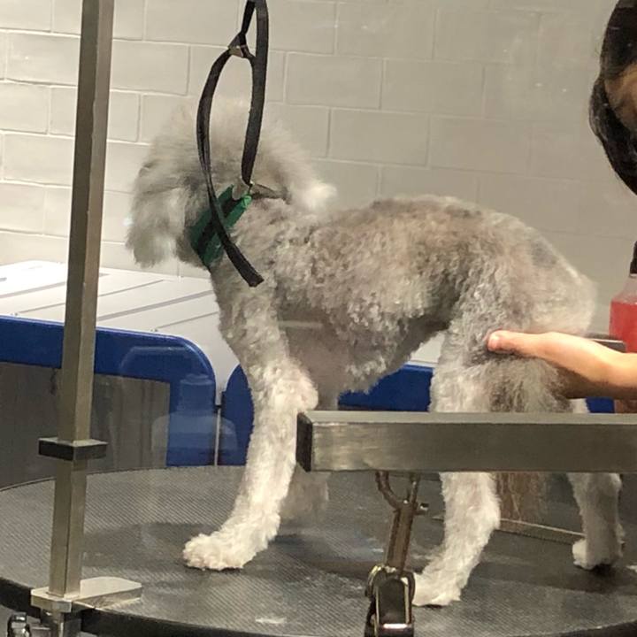 A8695b95 fca8 4fc1 b4ef 5c562ff7bdbf 1598065366870