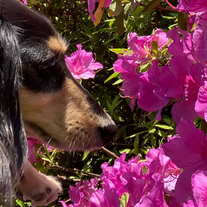 A8697cf4 a774 4ba3 8f41 57cedcaf86ad 1746682579680