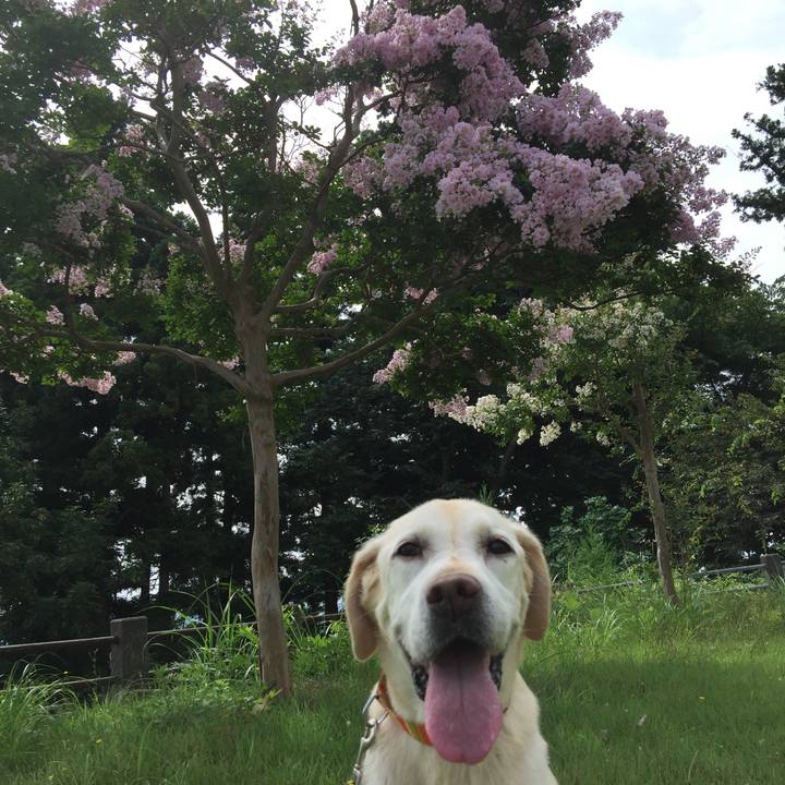 A869a874 2db7 4719 93eb 97aa66a93716 1595286352139