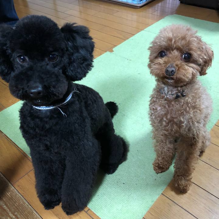 A869b7b3 c63e 4f71 be8d 79010815024f 1553984629687