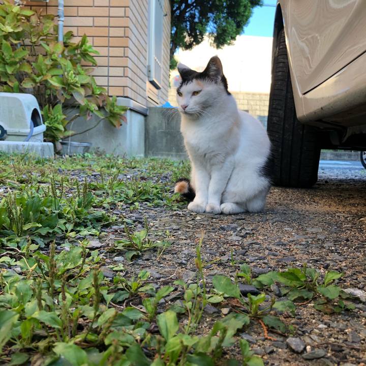 A869c031 00ec 4859 bf52 196f0e2edf38 1600812744056