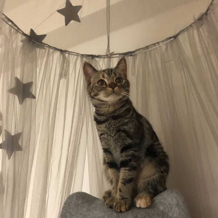 A869e30c 4eca 4fee b8d8 75faab489914 1590457625620