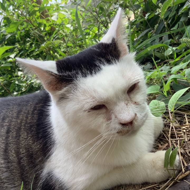 A86a38c2 f68d 441b a6d2 d827cd31b174 1602512764097