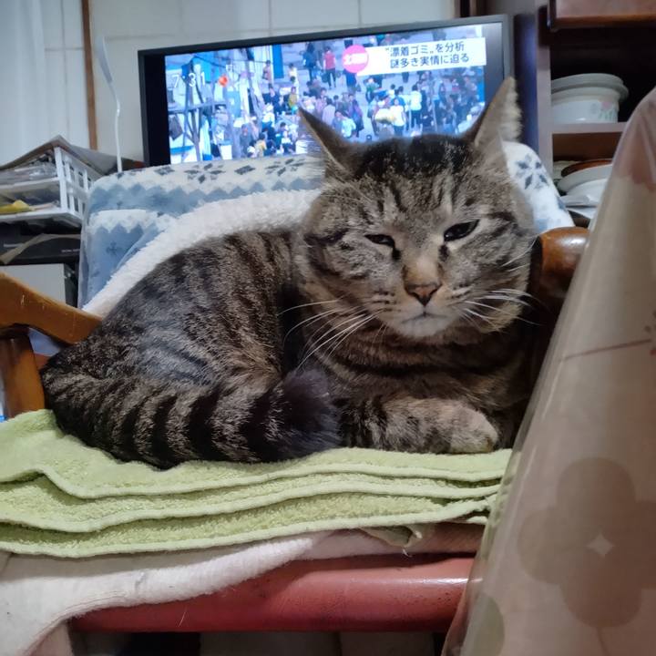 A86a6ec3 2d52 4b99 b694 0f601839304c 1679444220315